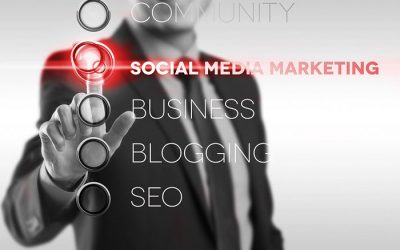 How Can A Newcastle SEO Agency Contribute To The Growth Of Your Business?